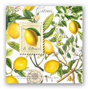 Michel Design - Lemon Basil Paper Luncheon Napkins Set 20pce